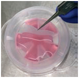 iP-TEC® 细胞片运输容器φ38、φ50-SANPLATEC