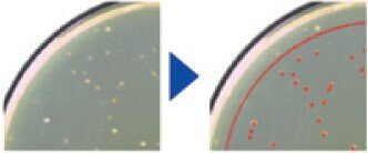 爱史科Sk-e PSF-1000自动菌落计数器