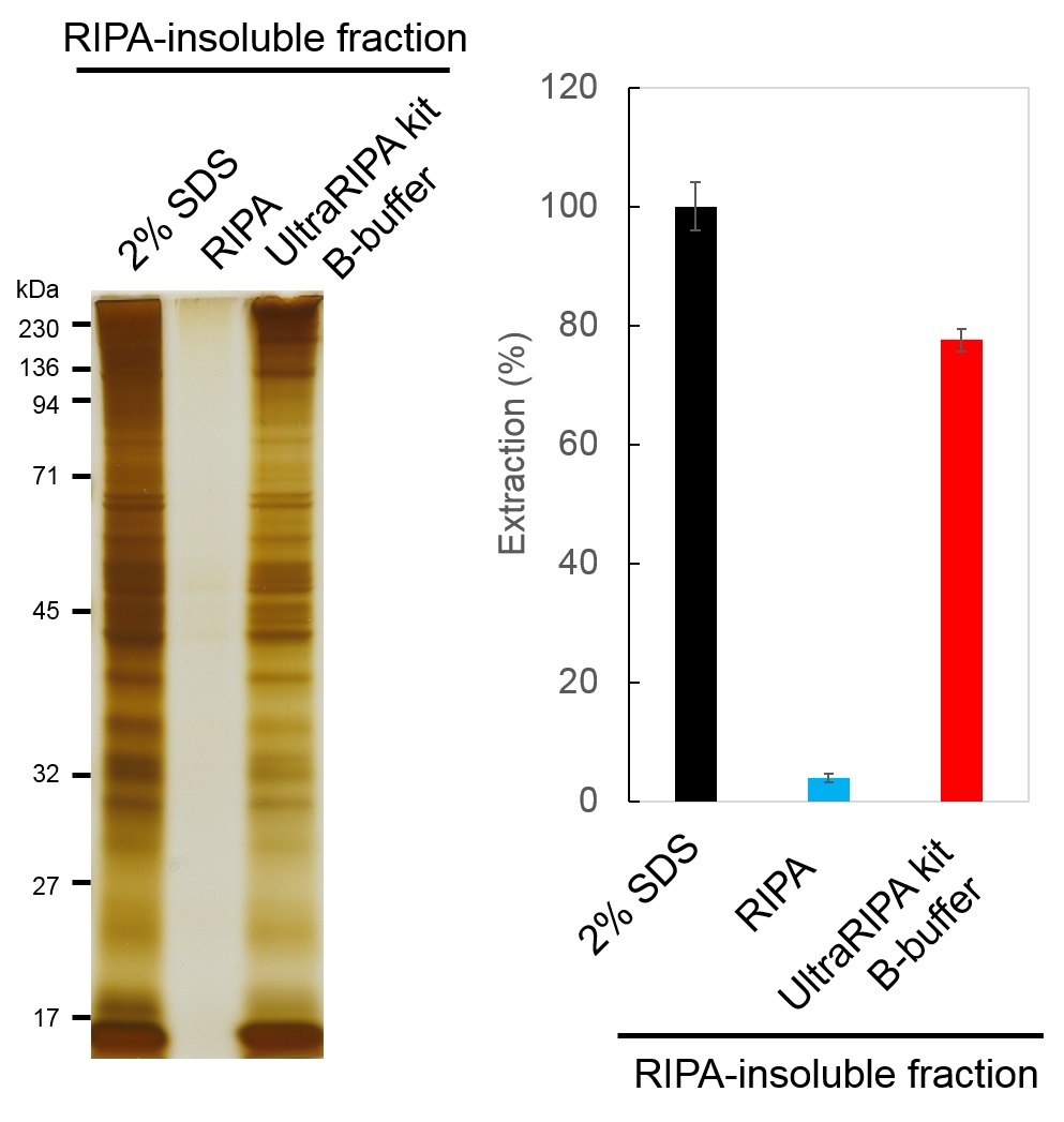 UltraRIPA 脂筏提取缓冲液套装 UltraRIPA kit for Lipid Raft