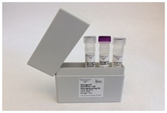 Stemgent RNA™重编程试剂盒-Stemgent