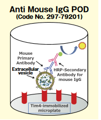PS Capture™ 外泌体ELISA试剂盒（链霉亲和素HRP）（和光纯药工业株式会社）