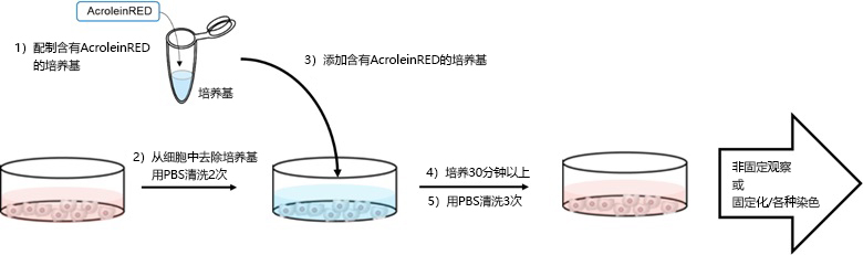 AcroleinRED-价格-厂家-供应商-上海金畔生物科技有限公司