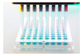 PEVIVA 细胞凋亡/坏死检测试剂盒（和光纯药工业株式会社）