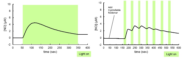 在任意范围、时间通过可视光照射释放NO(Nitric oxide)的试剂（和光纯药工业株式会社）