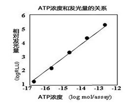 ATP荧光检测仪C-110（和光纯药工业株式会社）