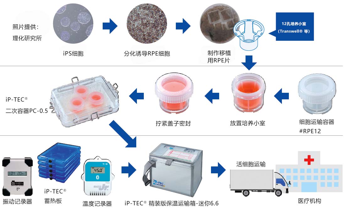 iP-TEC® 细胞培养小室用运输容器（Transwell等）（和光纯药工业株式会社）