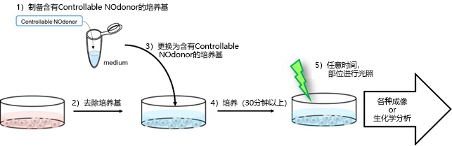 Controllable NOdonor&lt;NO-Rosa5&gt;-氧化应激-wako富士胶片和光