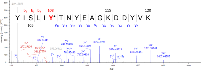 可用于活细胞的不可逆GST抑制剂-疾病研究-wako富士胶片和光