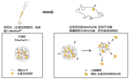 MedGel&#174; Ⅱ系列-干细胞-wako富士胶片和光