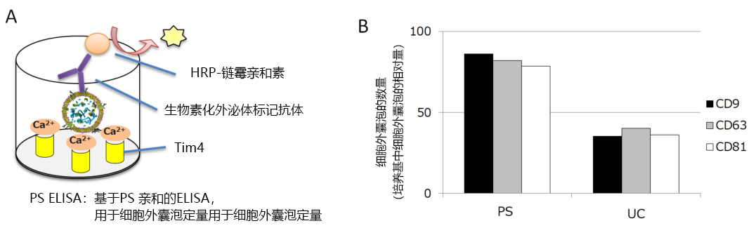 再生医学之细胞外囊泡疗法的新型工具箱