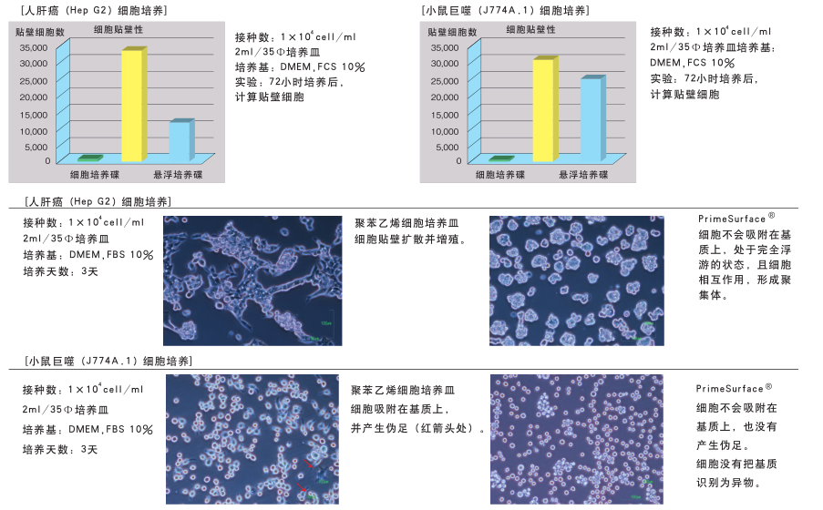 PrimeSurface 24F 多孔板（24well・平底）                              PrimeSurface plate 24F