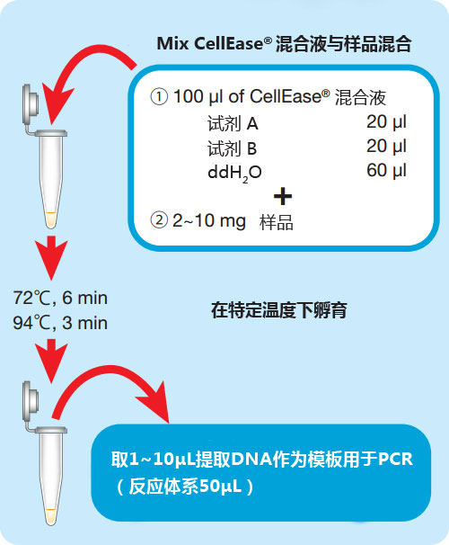 CellEase® II DNA快速提取试剂盒                               DNA extraction reagent : CellEase® II series