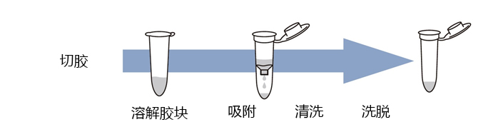 Long ssDNA Gel Extraction Kit                              长链单链DNA专用胶回收试剂盒