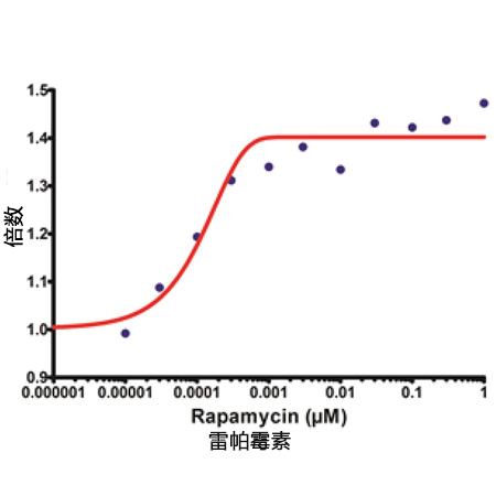CYTO-ID® 自噬检测试剂盒                              CYTO-ID® Autophagy detection kit