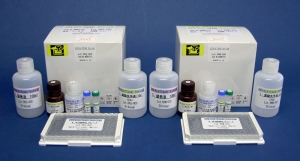 LBIS® 血蓝蛋白（KLH）（T细胞依赖性抗原）  大鼠免疫球蛋白M（IgM） ELISA试剂盒                              LBIS® KLH(TDAR) Rat-IgM ELISA Kit