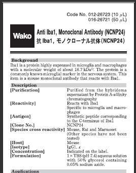 鼠源Iba1抗体，无标签，单克隆抗体（NCNP24）                              Anti Iba1, Monoclonal Antibody (NCNP24)