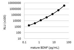 高灵敏度Mature BDNF ELISA试剂盒