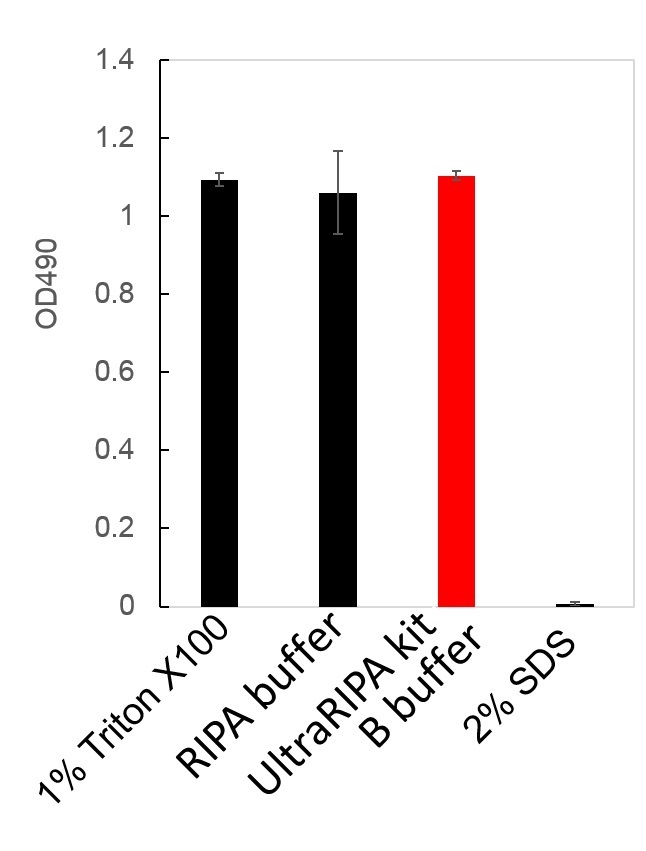 UltraRIPA 脂筏提取缓冲液套装                              UltraRIPA kit for Lipid Raft