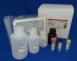 人ES/iPS 细胞检测试剂盒                              Human ES/iPS Cell Monitoring Kit