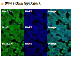 StemSure® 人多能干细胞培养基                              StemSure® hPSC Medium