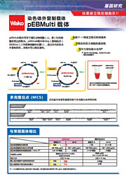 pEBMulti染色体外复制载体                               pEBMulti Vetcor