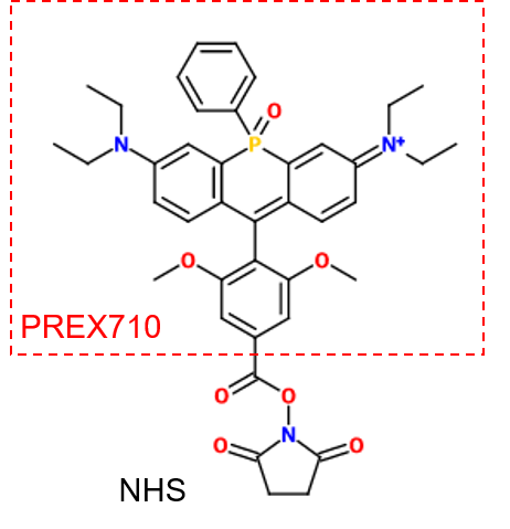 PREX710-NHS (Super PhotoStable Dye)                              化学稳定性高的耐光性近红外荧光染料