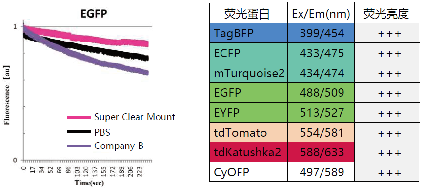 Super Clear Mount封片剂                              荧光蛋白观察用、油浸物镜适用封片剂