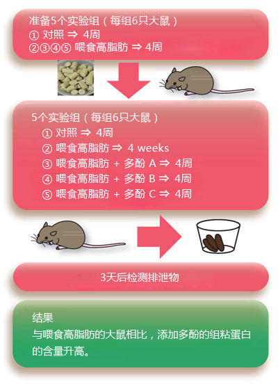 粘蛋白检测试剂盒                              Mucin Assay Kit