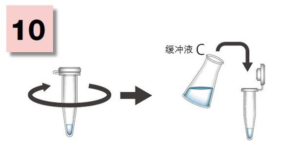 粘蛋白检测试剂盒                              Mucin Assay Kit