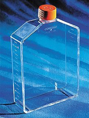 Corning康宁 225cm2透气盖角度颈培养瓶 （431082）