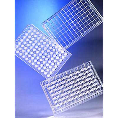 Corning康宁 HTS transwell-96孔透过性支持物系统和板 0.4umPC膜孔径 （3381）