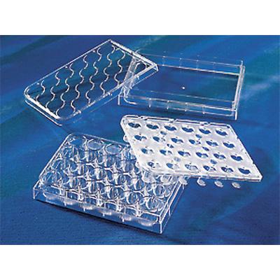 Corning康宁 HTS transwell-24孔透过性支持物 3.0umPC膜孔径 (3398)