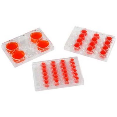 JET BIOFIL洁特 一次性细胞培养板 标准型 24孔 (TCP011024)