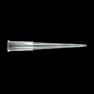 Axygen 爱思进 200ul 盒装灭菌黄吸头 (T-200-Y-R-S)