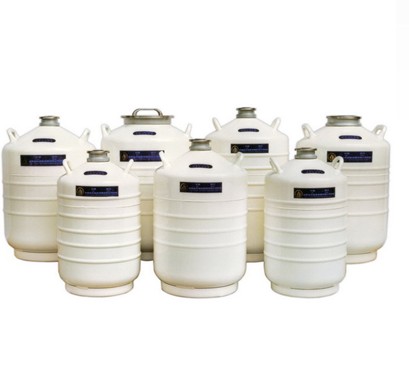 金凤 液氮生物容器贮存型（YDS-30-125合格品）