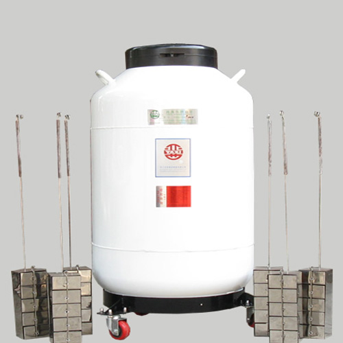 液氮容器运输贮存两用（YDS-100B-200）