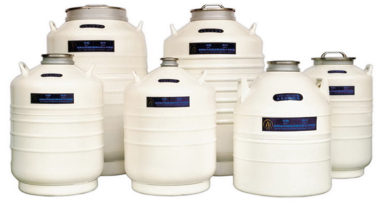 金凤 液氮生物容器贮存型（YDS-35-80优等品）