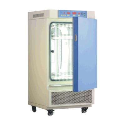 一恒 光照培养箱(普及型)(MGC-300A)