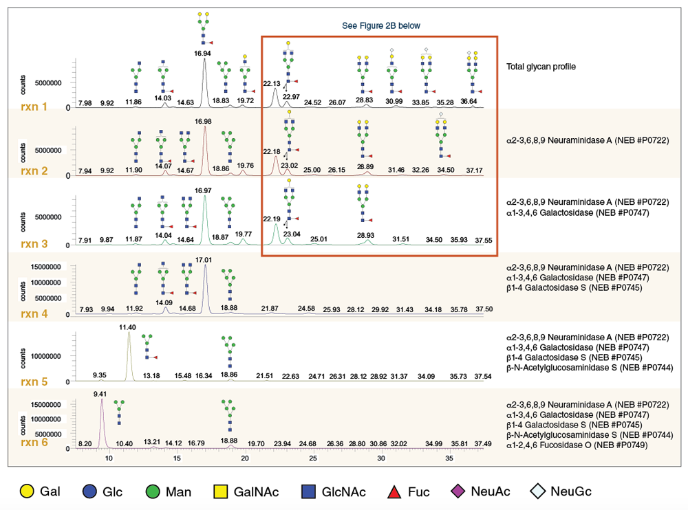 N-Glycan Sequencing Kit |
