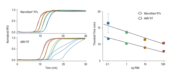 WarmStart® RTx Reverse Transcriptase |