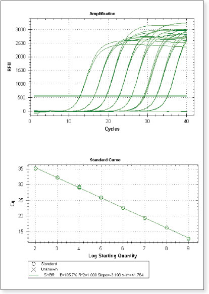 ProtoScript® II Reverse Transcriptase |