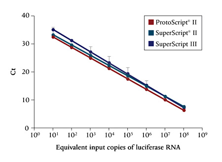 ProtoScript® II First Strand cDNA Synthesis Kit |