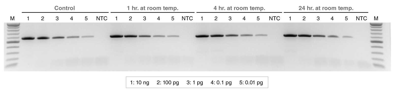 LunaScript® 一步法多重 RT-PCR 试剂盒 |