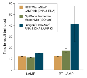 WarmStart® LAMP Kit (DNA & RNA) |