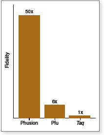Phusion® 超保真 PCR 预混液(提供 HF 缓冲液) |