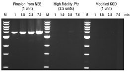 Phusion® 超保真 PCR 预混液(提供 HF 缓冲液) |