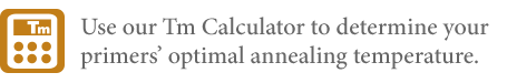 OneTaq® 热启动 Quick-Load® 2X 预混液（提供 GC 缓冲液） |