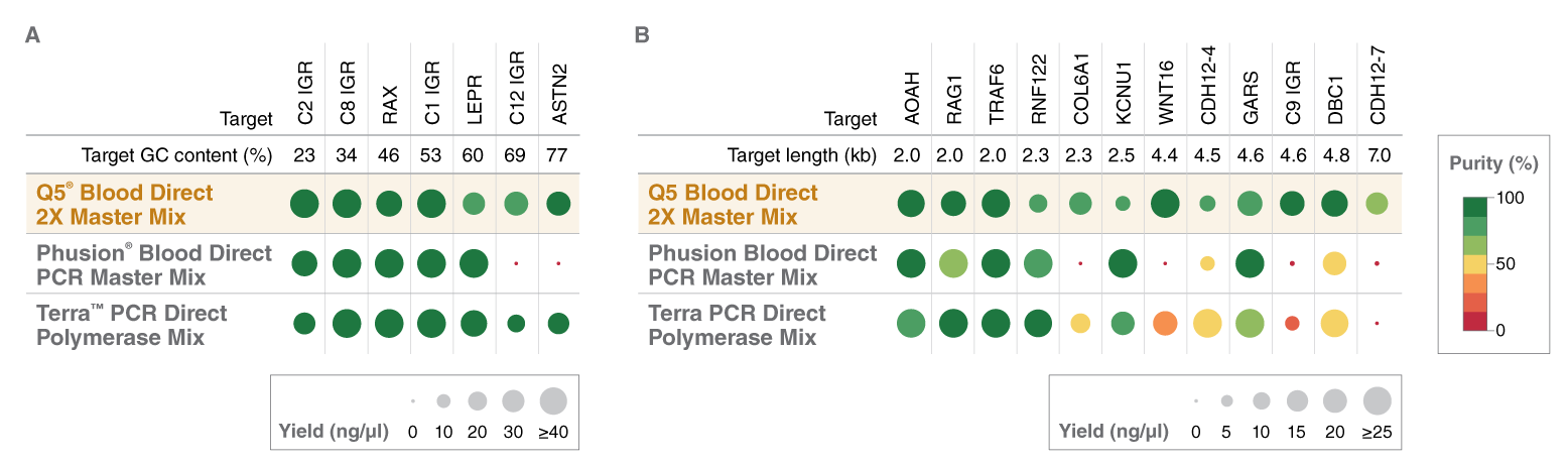 Q5® 血源直扩 2X 预混液 |