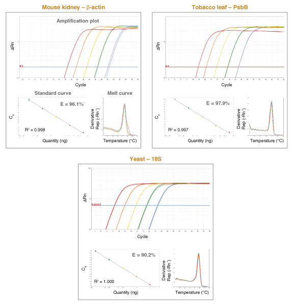 Luna® 通用 qPCR 预混液 |
