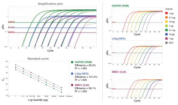 Luna® 探针一步法 RT-qPCR 试剂盒(无 ROX) |
